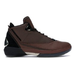 Air Jordan 22 Retro Desert Orange